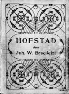 Hofstad. Deel 2, Johan W. Broedelet